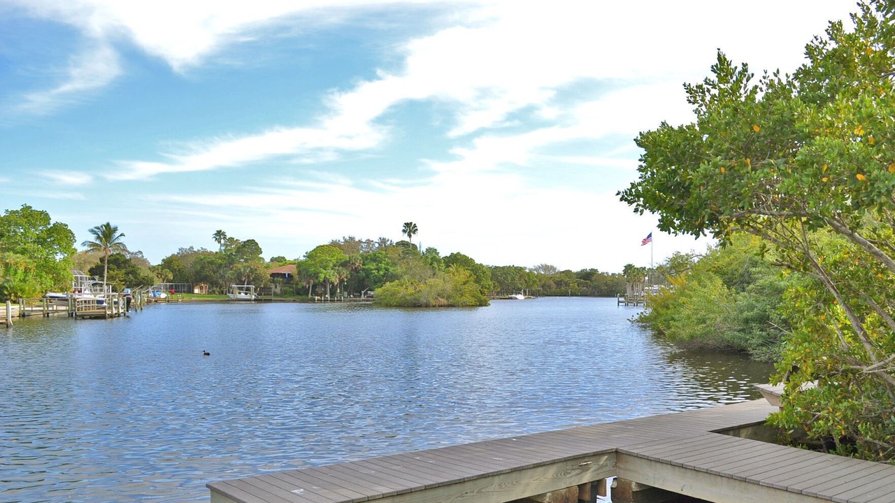 Photo of Outdoor in South Sarasota