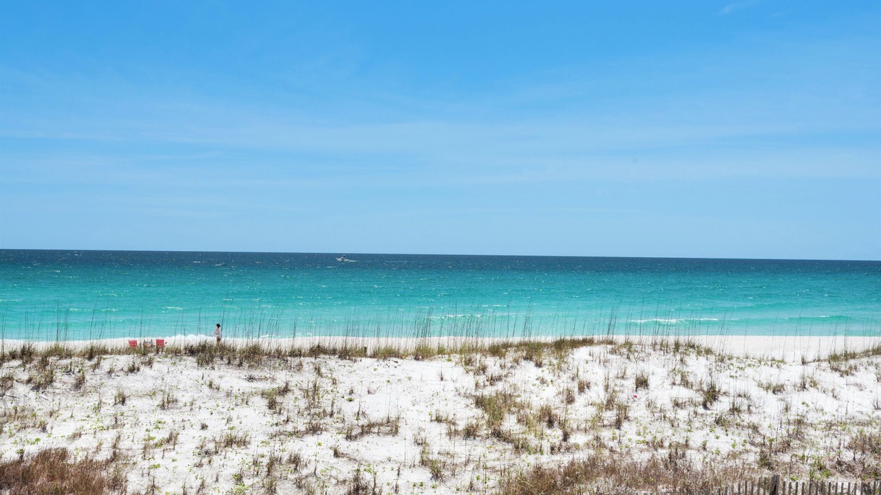 Photo of Others in White Sands