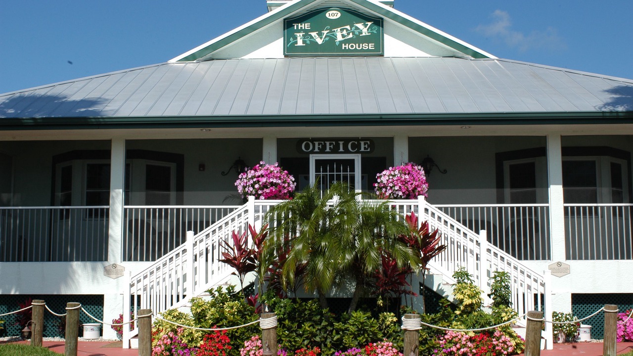 Photo of Outdoor in Everglades City
