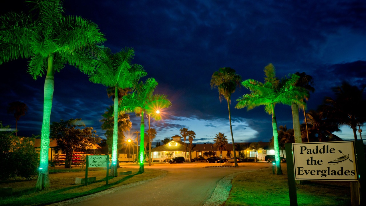Photo of Outdoor in Everglades City