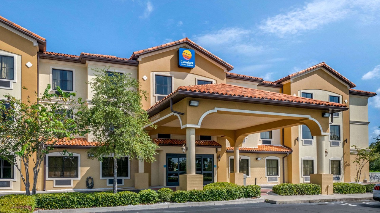 Photo of Outdoor in St. Petersburg - Clearwater