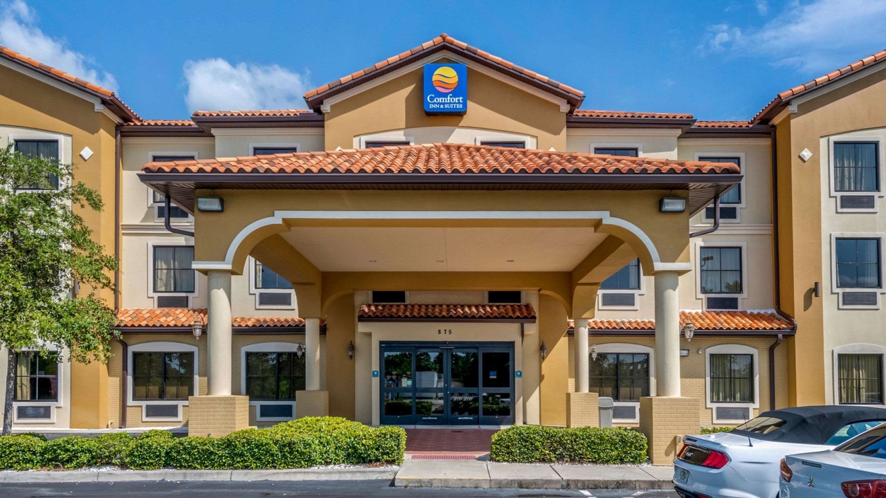 Photo of Outdoor in St. Petersburg - Clearwater