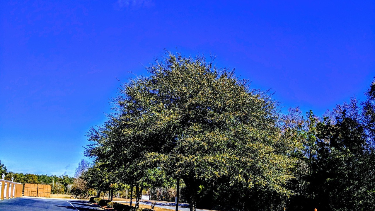 Photo of Outdoor in Marianna