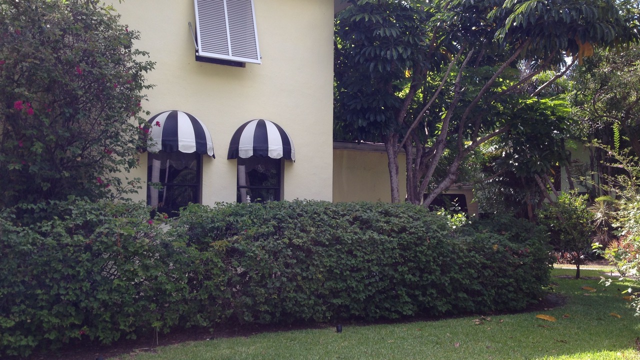 Photo of Outdoor in Parrot Cove
