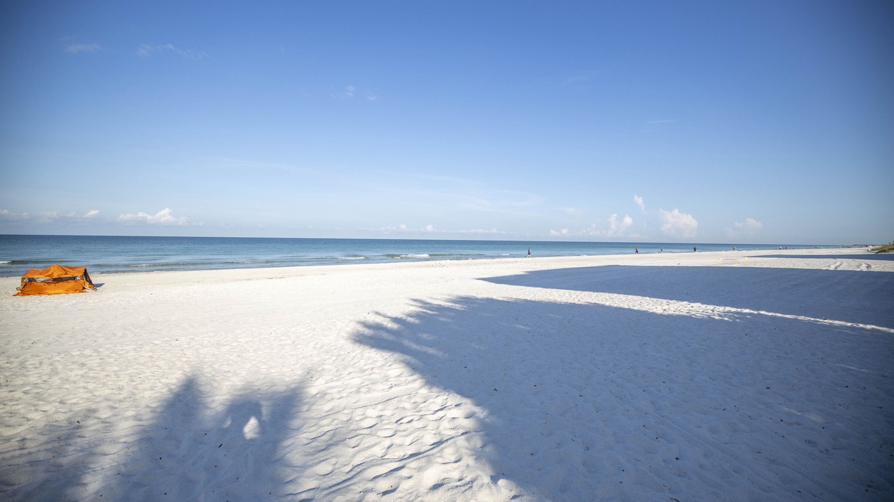 Photo of Outdoor in Redington Shores