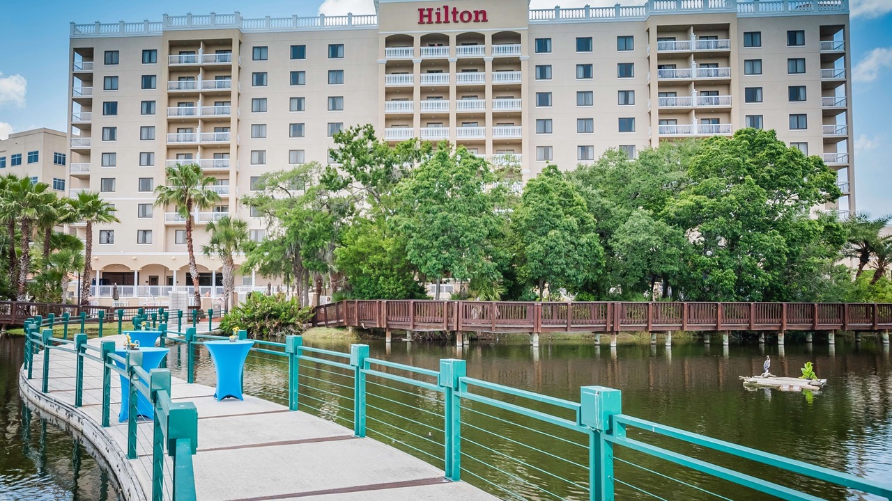 Photo of Outdoor in St. Petersburg - Clearwater