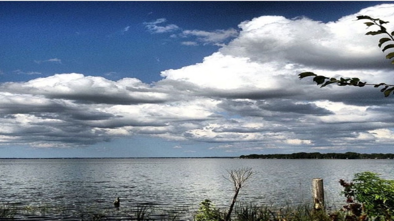 Photo of Outdoor in Tavares