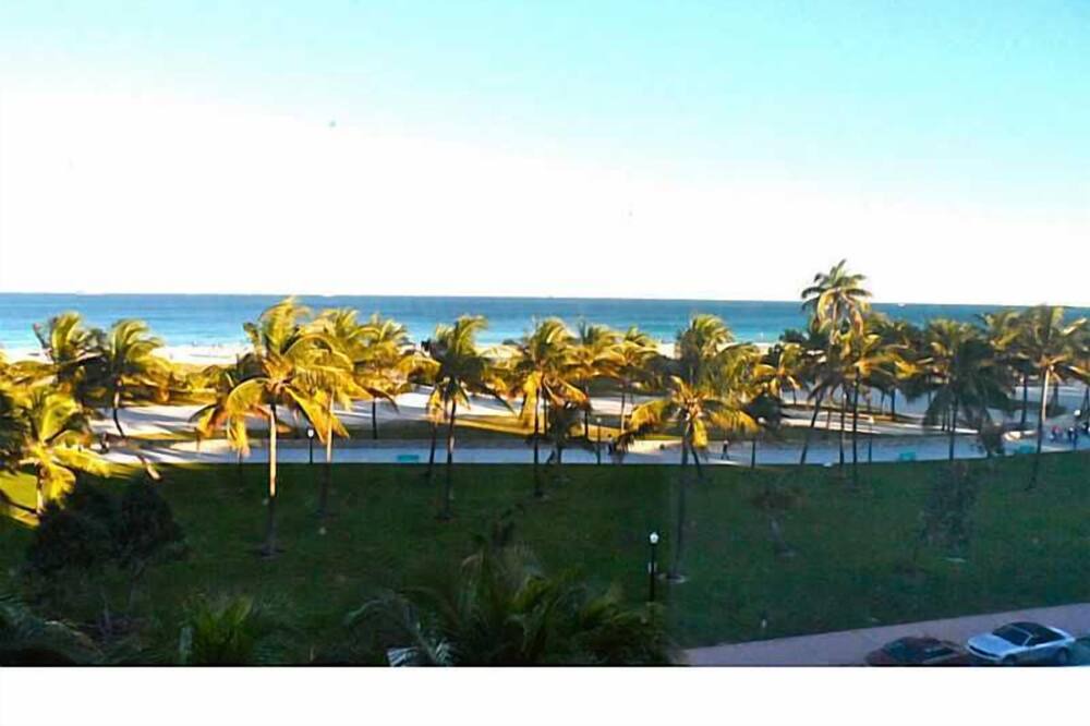 Photo of Others in South Beach