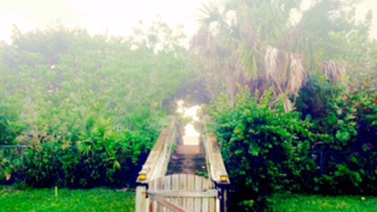 Photo of Outdoor in Melbourne Beach