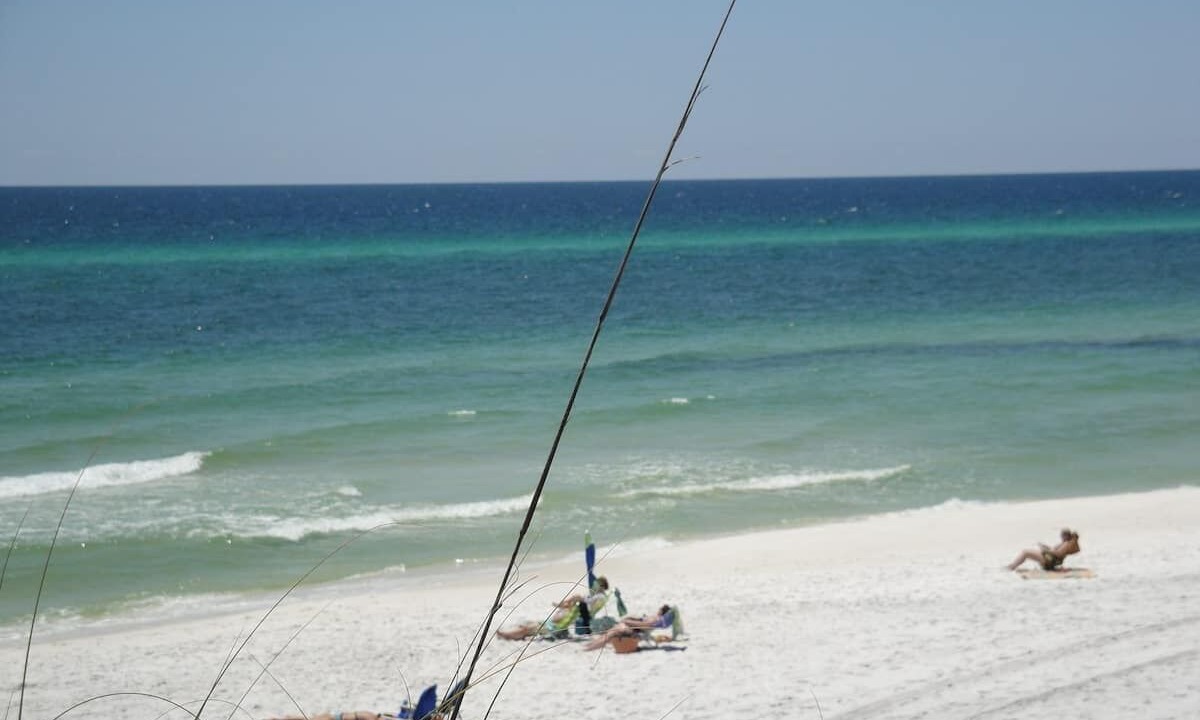 Photo of Others in Santa Rosa Beach