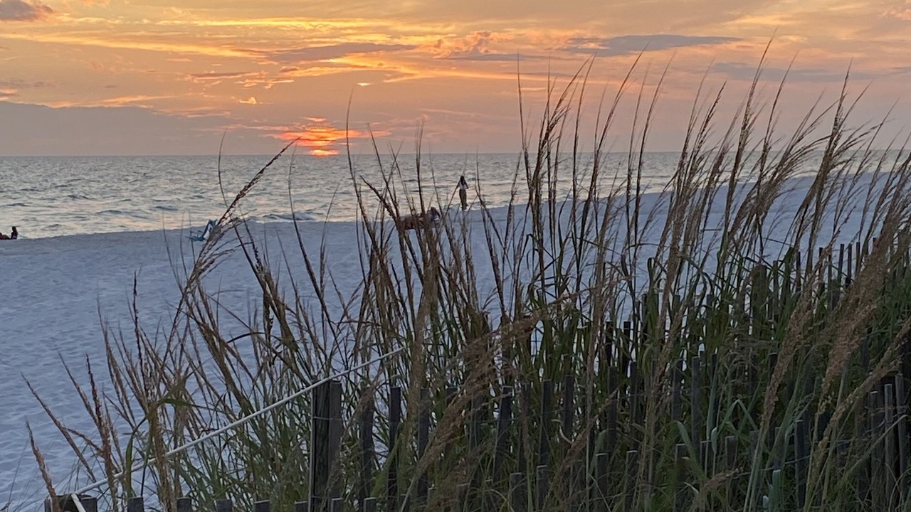 Photo of Others in Santa Rosa Beach