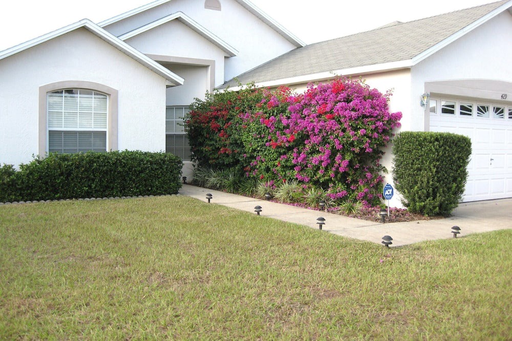 Photo of Others in Poinciana