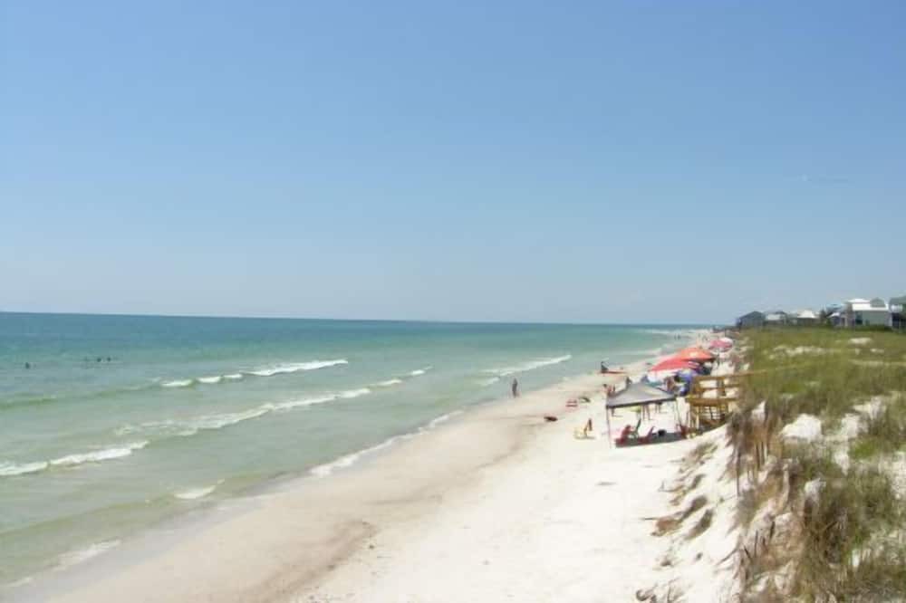 Photo of Others in Cape San Blas