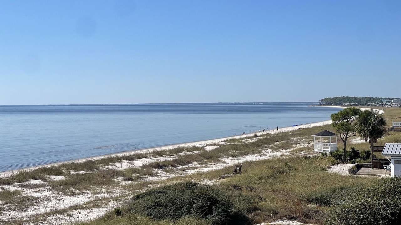 Photo of Others in Alligator Point