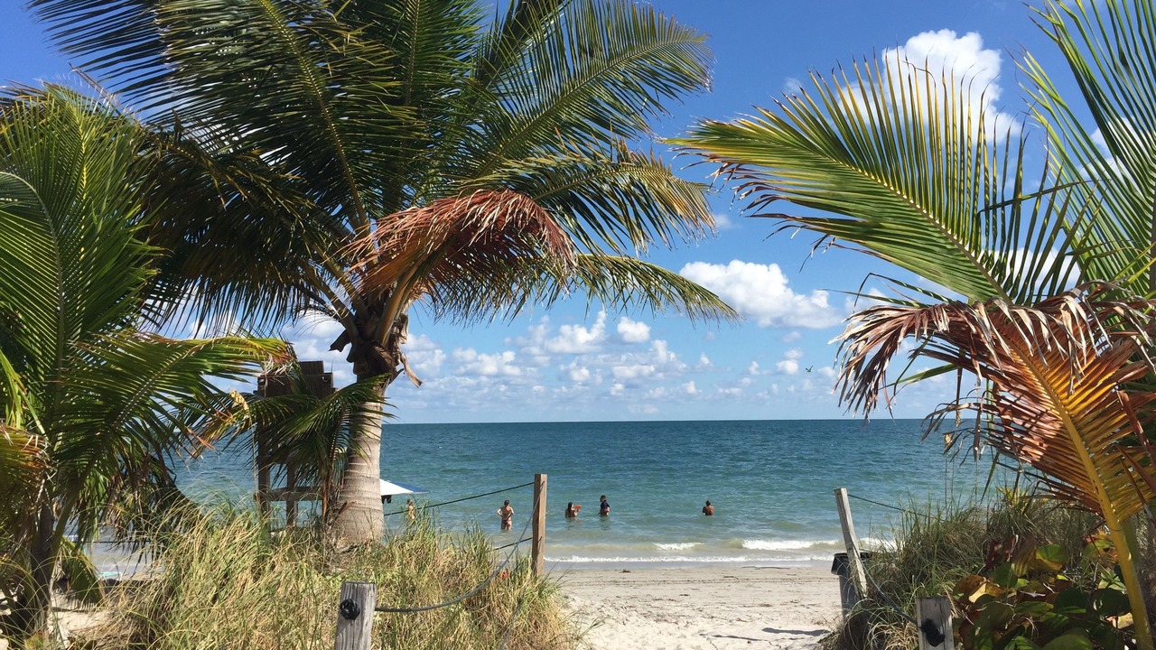 Photo of Others in Key Biscayne