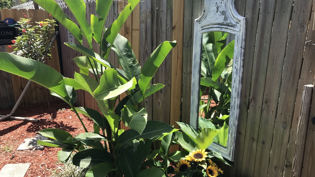 Photo of Outdoor in Harbordale