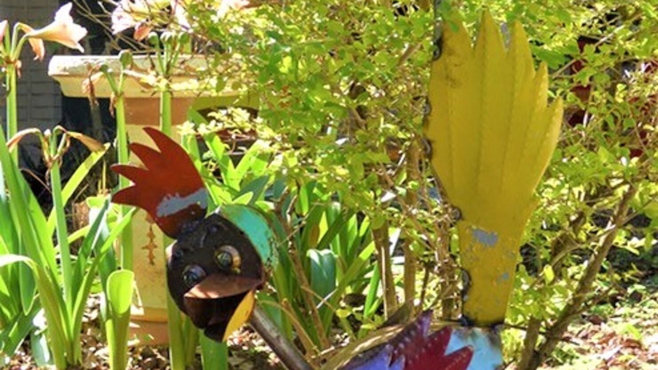 Photo of Outdoor in Temple Terrace