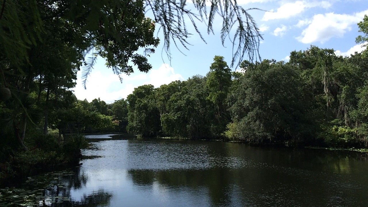 Photo of Outdoor in Temple Terrace