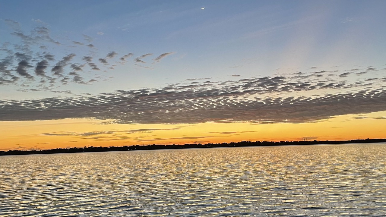 Photo of Others in Safety Harbor