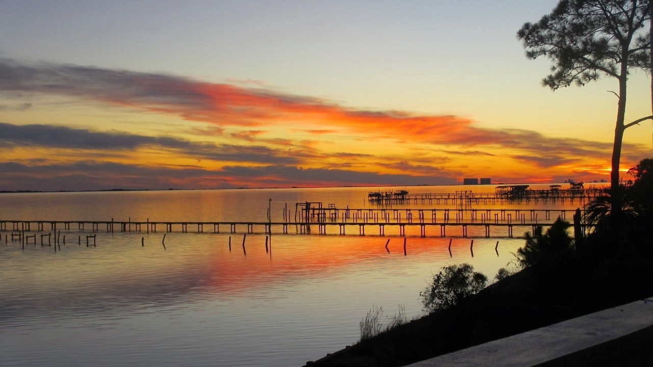 Photo of Others in Gulf Breeze