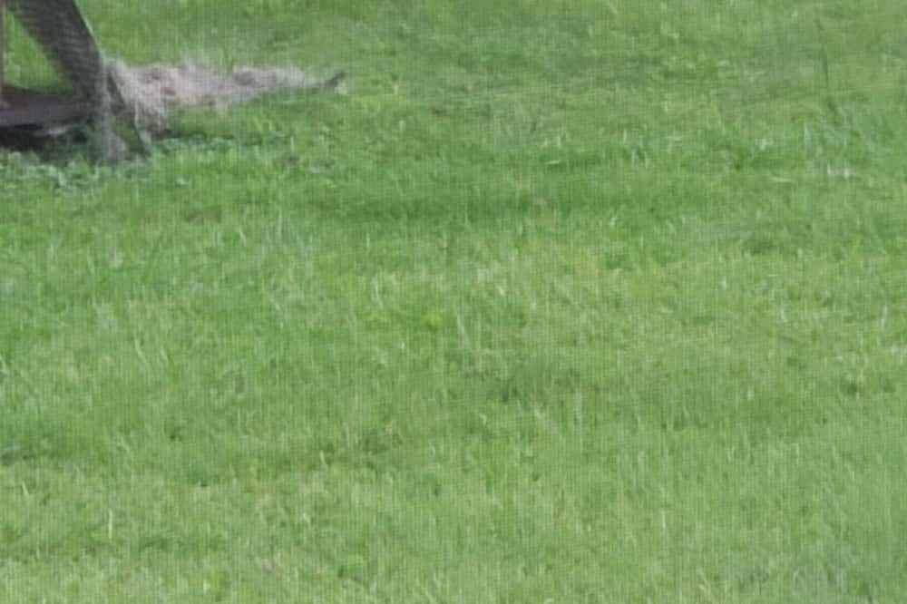 Photo of Others in Hawthorne