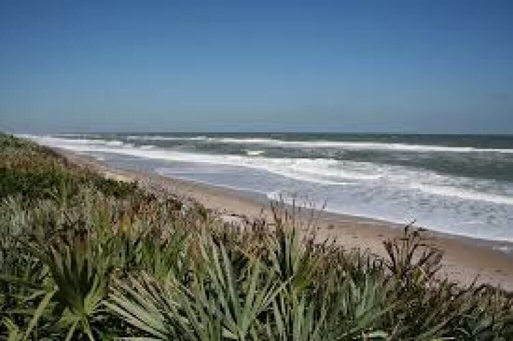 Photo of Others in Titusville