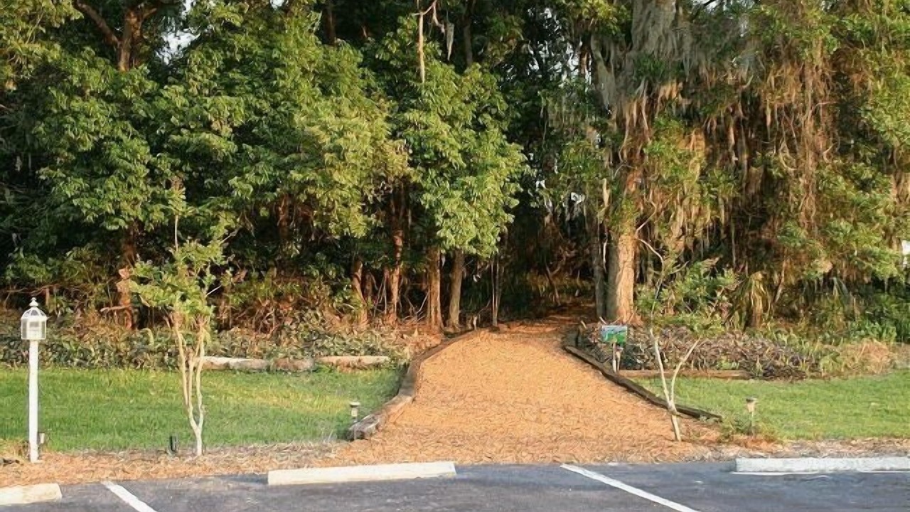 Photo of Others in Mount Dora
