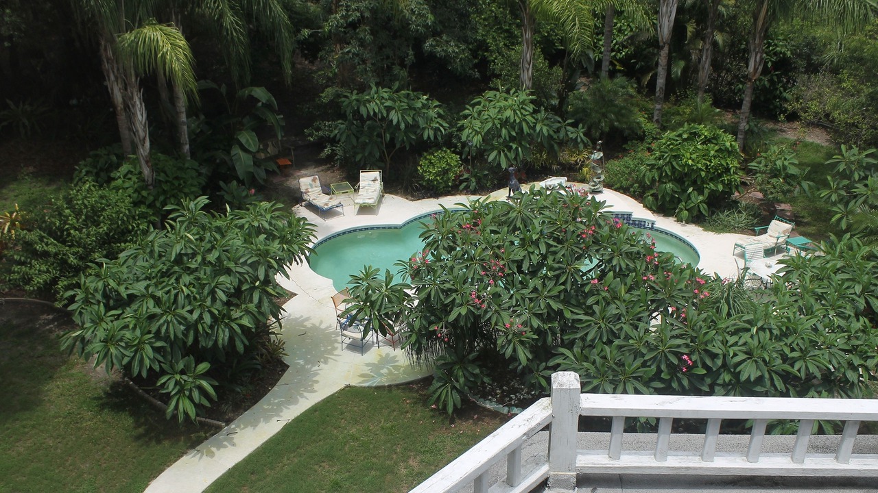 Photo of Outdoor in Mount Dora