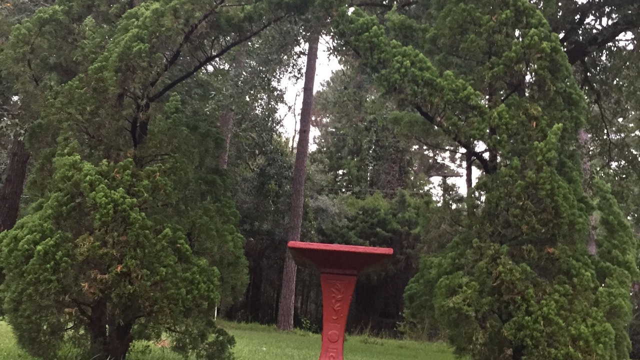 Photo of Outdoor in Tallahassee
