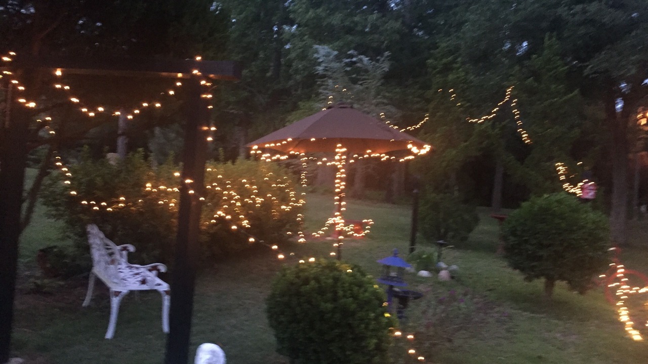 Photo of Outdoor in Tallahassee