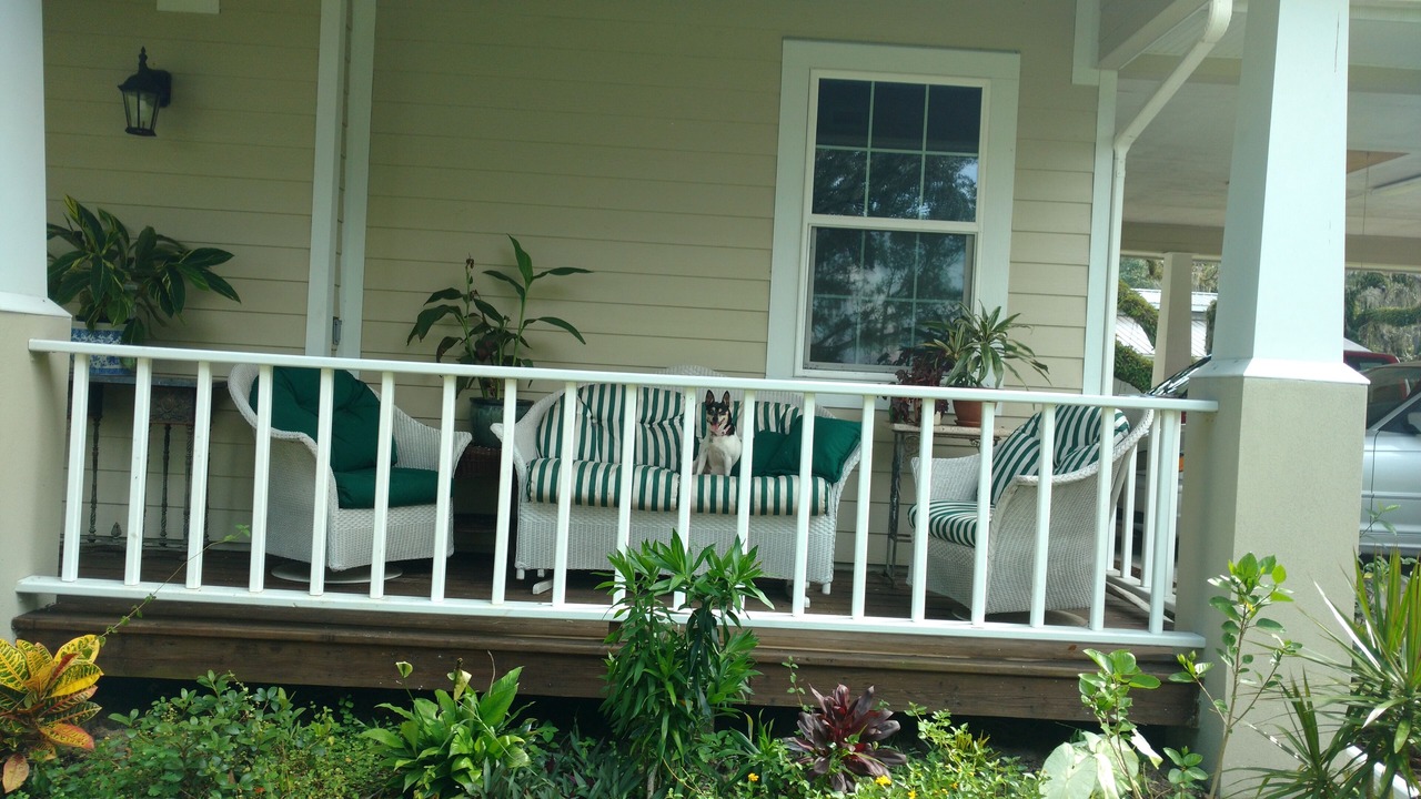 Photo of Outdoor in Myakka City