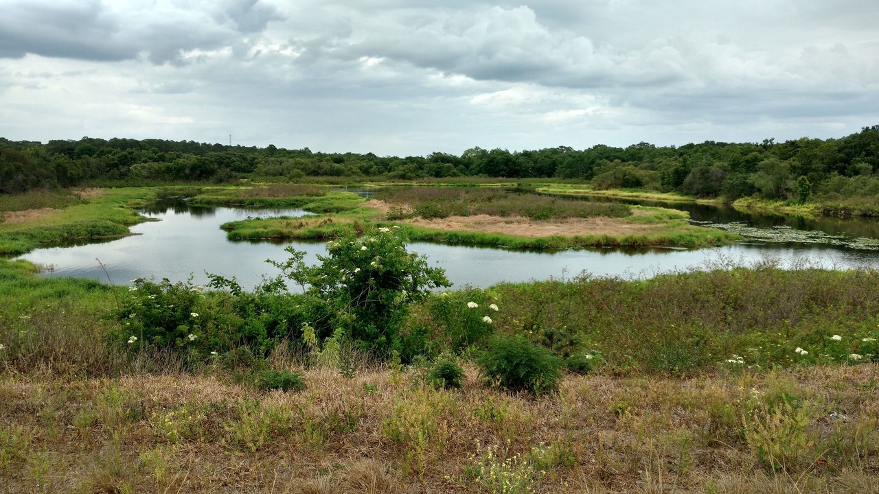 Photo of Outdoor in Myakka City