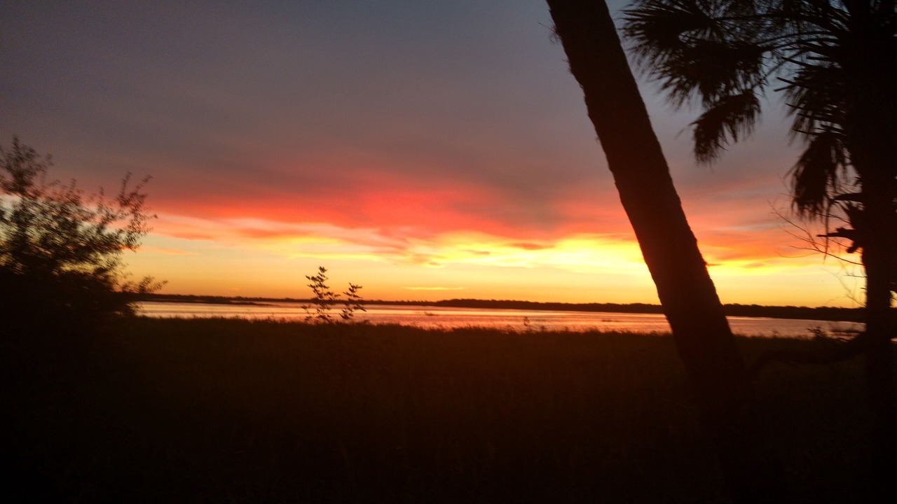 Photo of Others in Myakka City