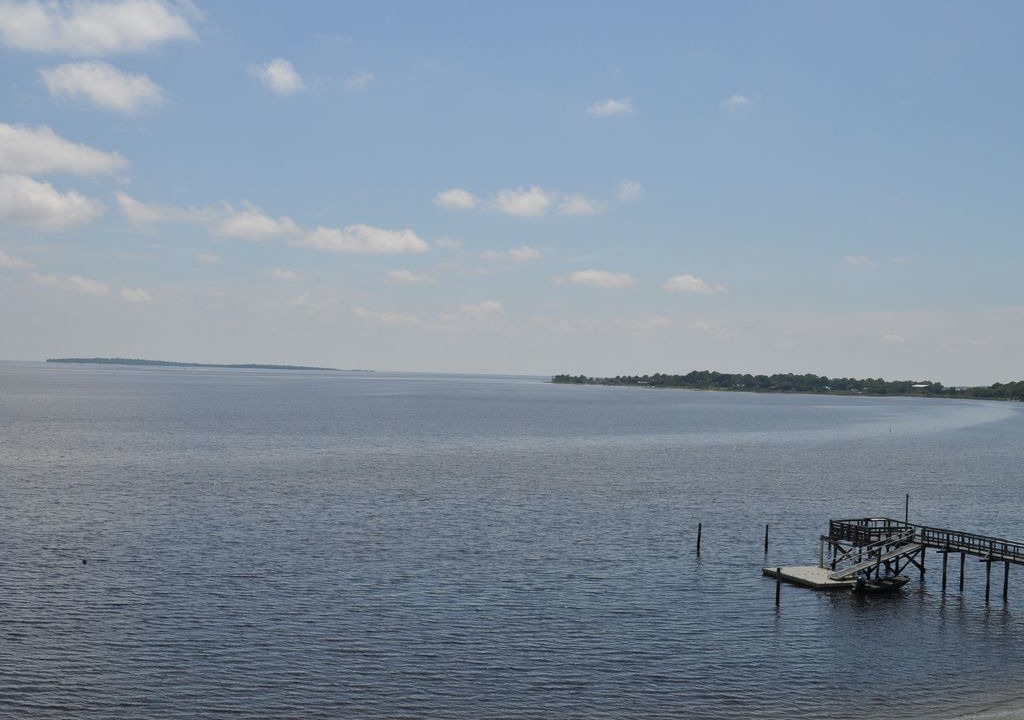 Photo of Others in Cedar Key