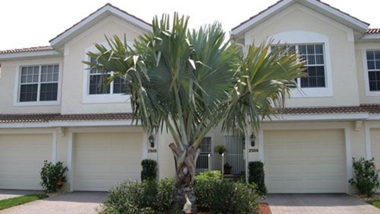 Photo of Outdoor in Fort Myers