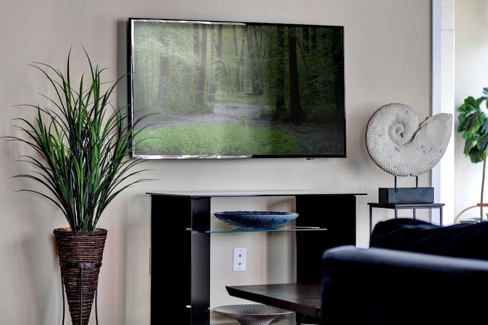 Photo of Livingroom in South Eola
