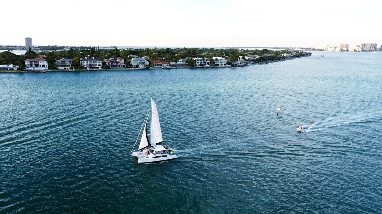 Photo of Outdoor in South Sarasota