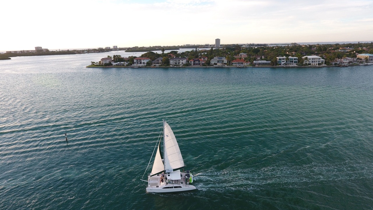 Photo of Outdoor in South Sarasota