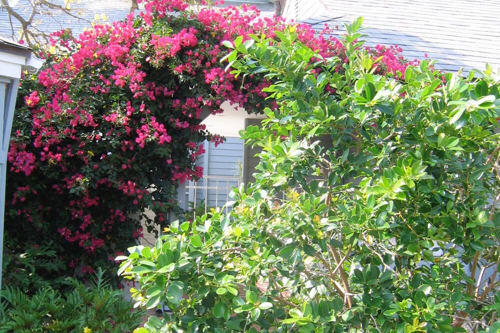 Photo of Outdoor in Pelican Bay