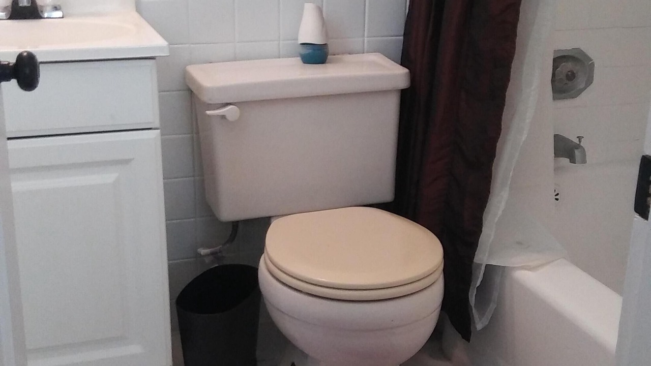 Photo of Bathroom in St. Pete Beach