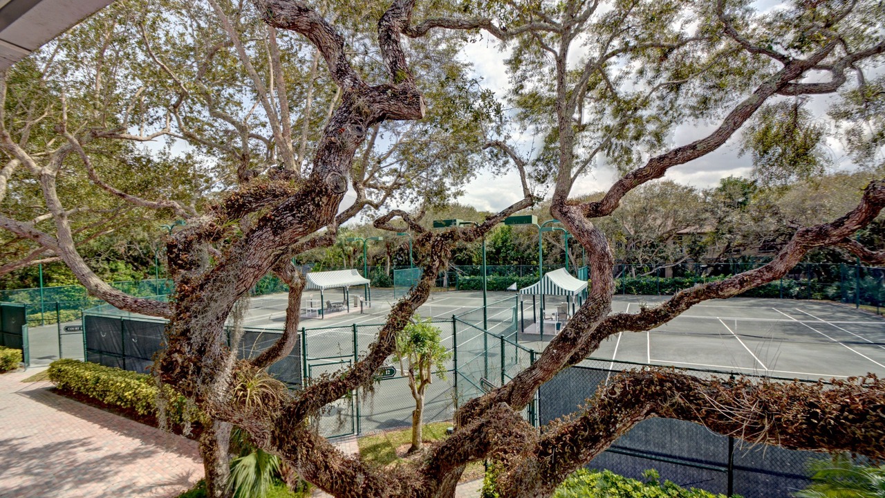 Photo of Outdoor in Wabasso Beach