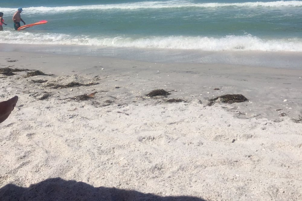 Photo of Others in South Gulf Cove