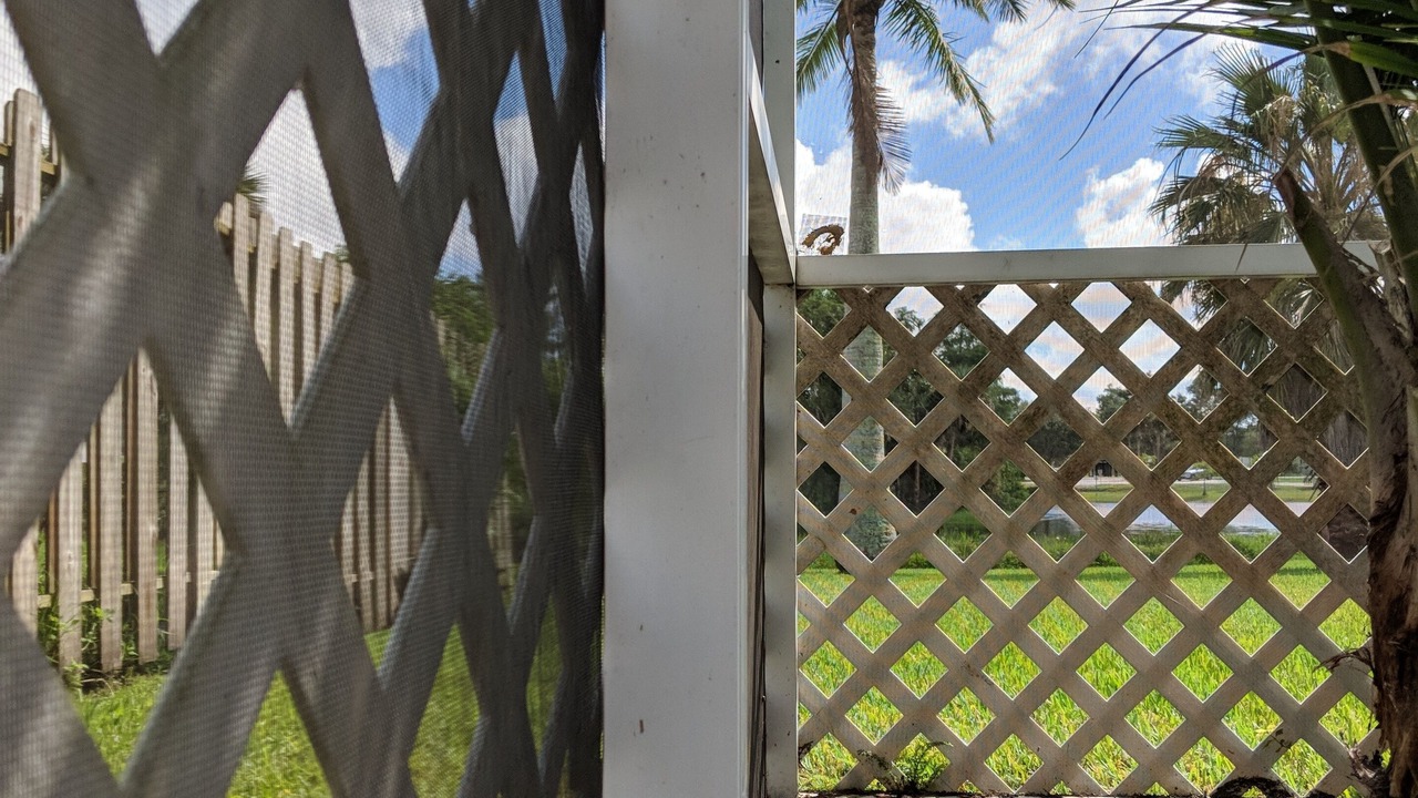 Photo of Outdoor in Joel