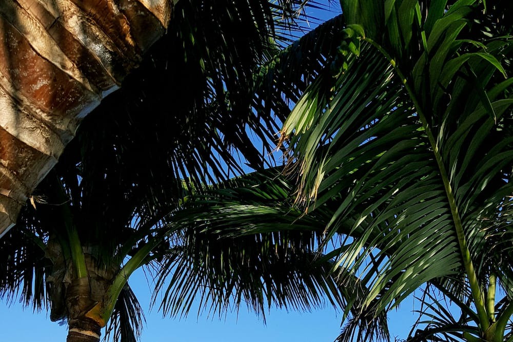 Photo of Outdoor in Coquina Key