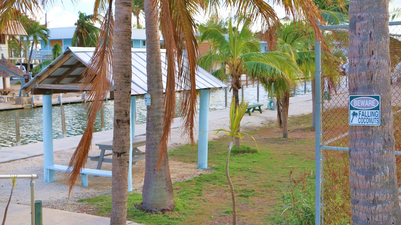 Photo of Outdoor in Islamorada