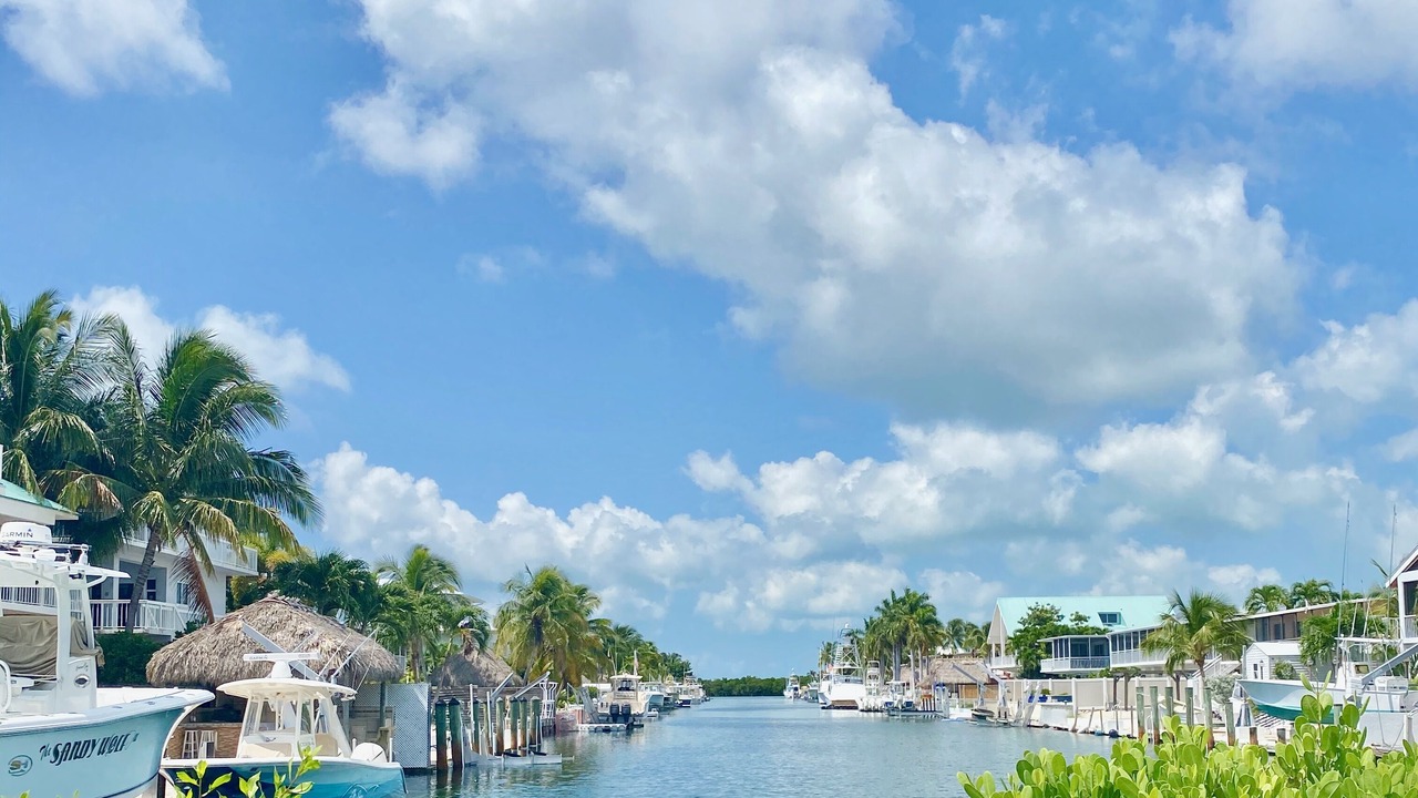 Photo of Outdoor in Venetian Shores