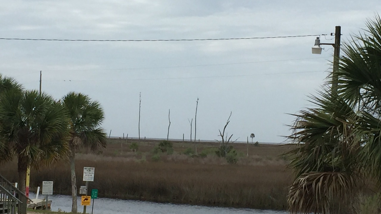 Photo of Others in Perry