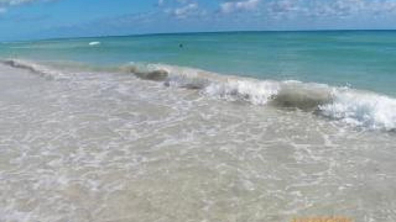 Photo of Others in Weston
