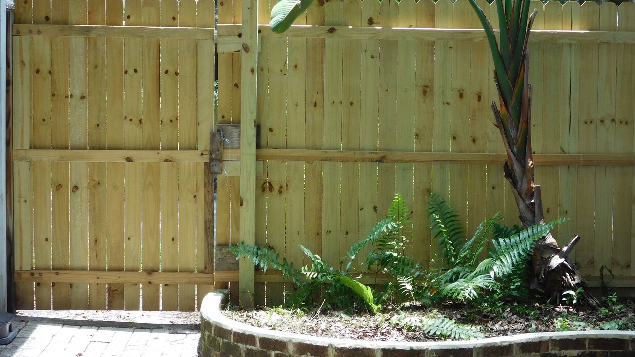 Photo of Outdoor in Old Seminole Heights