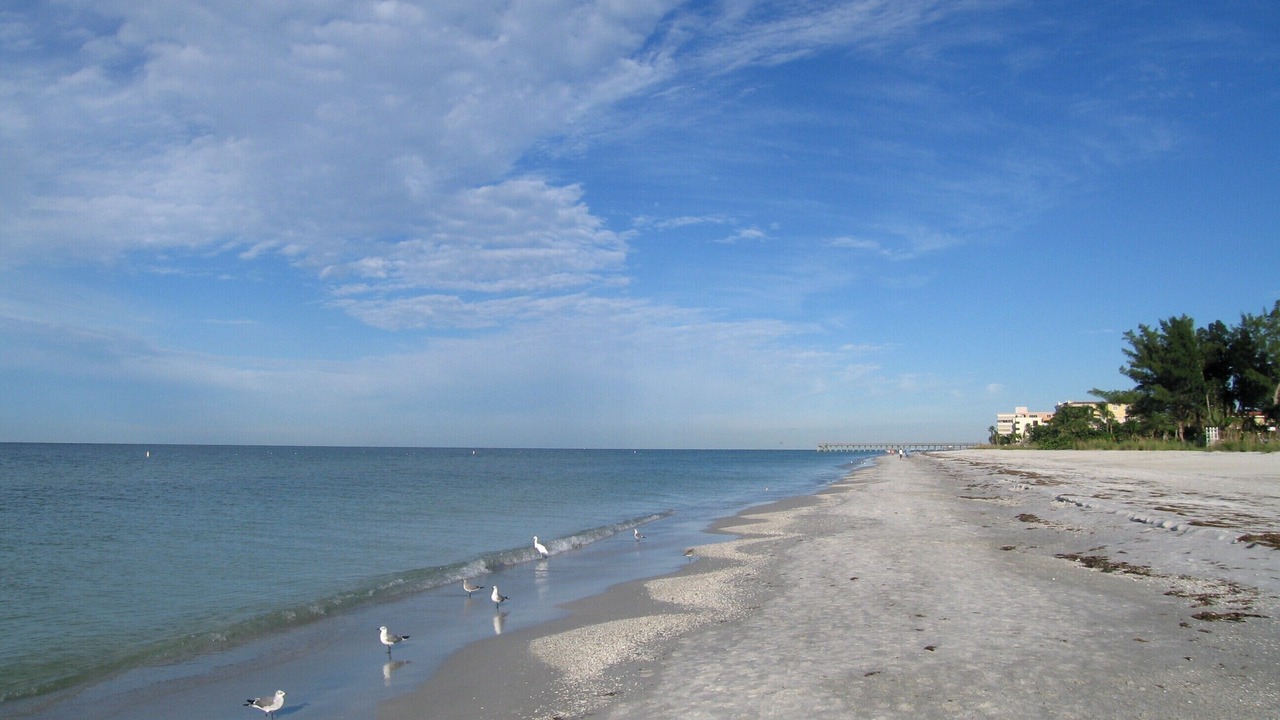 Photo of Others in Redington Beach